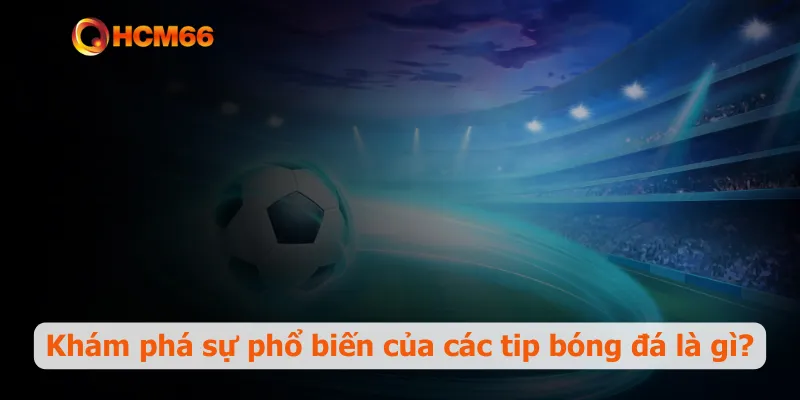 Khám phá sự phổ biến của các tip bóng đá là gì?