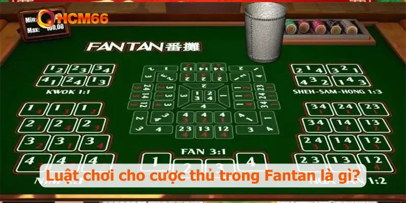 Luật chơi cho cược thủ trong Fantan là gì?