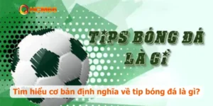 Tìm hiểu cơ bản định nghĩa về tip bóng đá là gì?