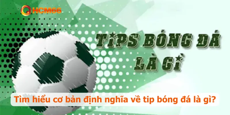 Tìm hiểu cơ bản định nghĩa về tip bóng đá là gì?