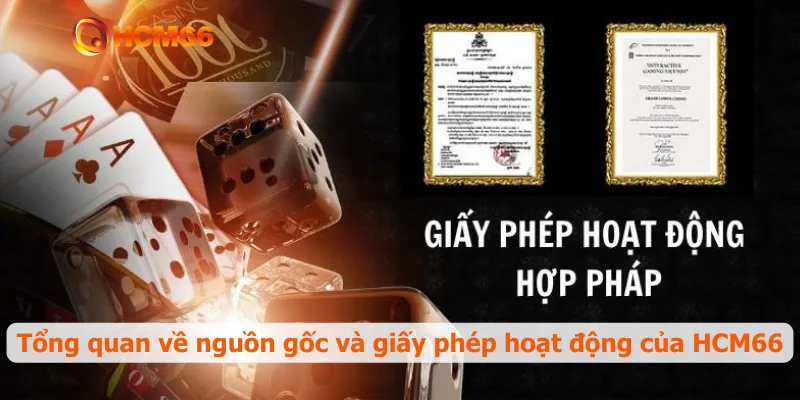 Tổng quan về nguồn gốc và giấy phép hoạt động của HCM66